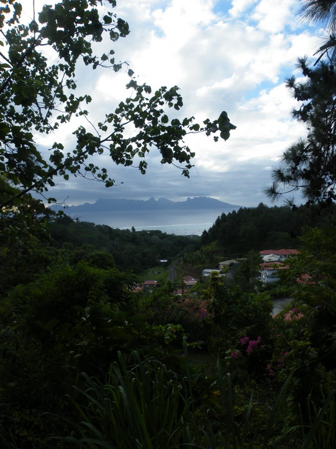 110.JPG