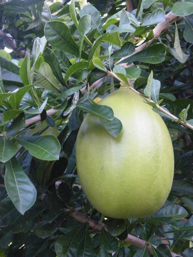 87.JPG