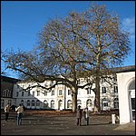 serie-c-19.JPG serie-c-19.JPG